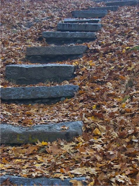 Take Ownership of Your Environment