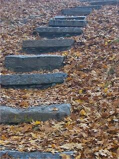 Stone steps at Great Esker Park