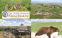 The Wild Animal Sanctuary