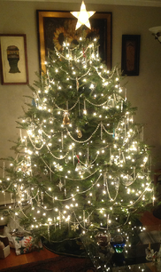 beautifulChristmasTree resized 600